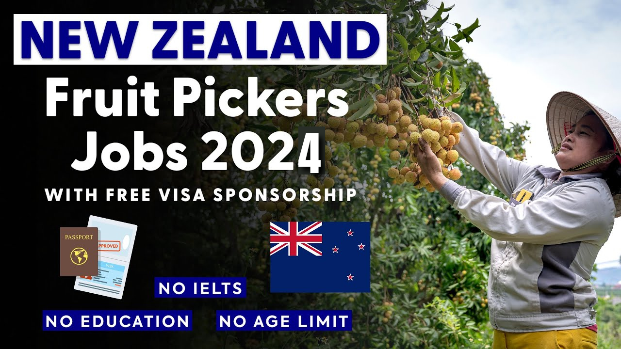 New Zealand Seasonal Work Visa 2026: Fruit Picking Jobs, Requirements, Salary, and Complete Application Guide